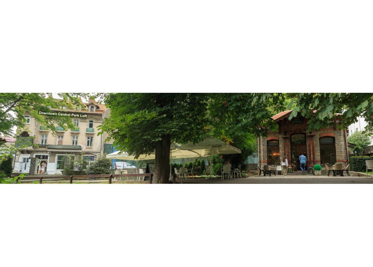 شقة سِنايا  في Downtown Park Loft المظهر الخارجي الصورة